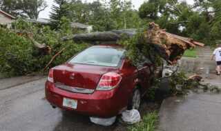 Storm damage tree car crushed public domain image from Unsplash